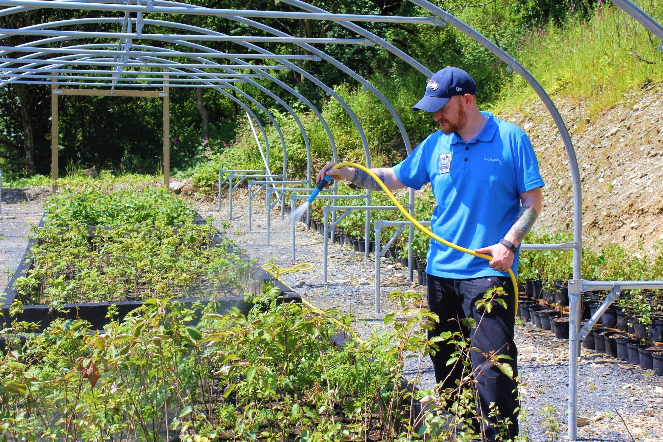 Eryri Tree Nursery