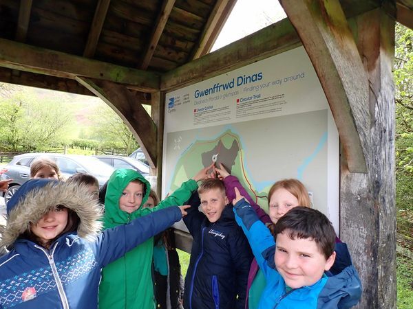 Gwenffrwd Dinas Educational Sessions