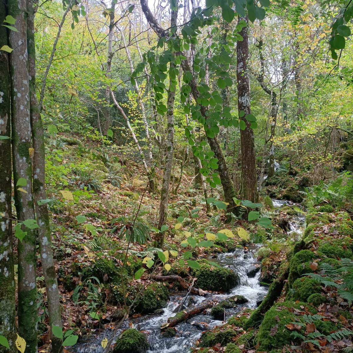 IMG 20230105 WA0003 1200 x 1200