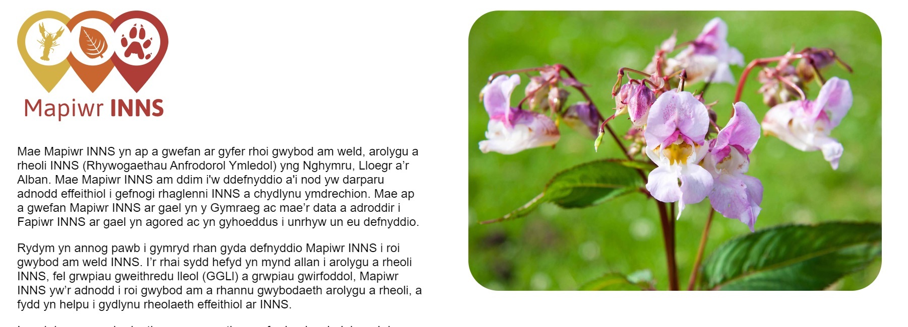 INNS Mapper