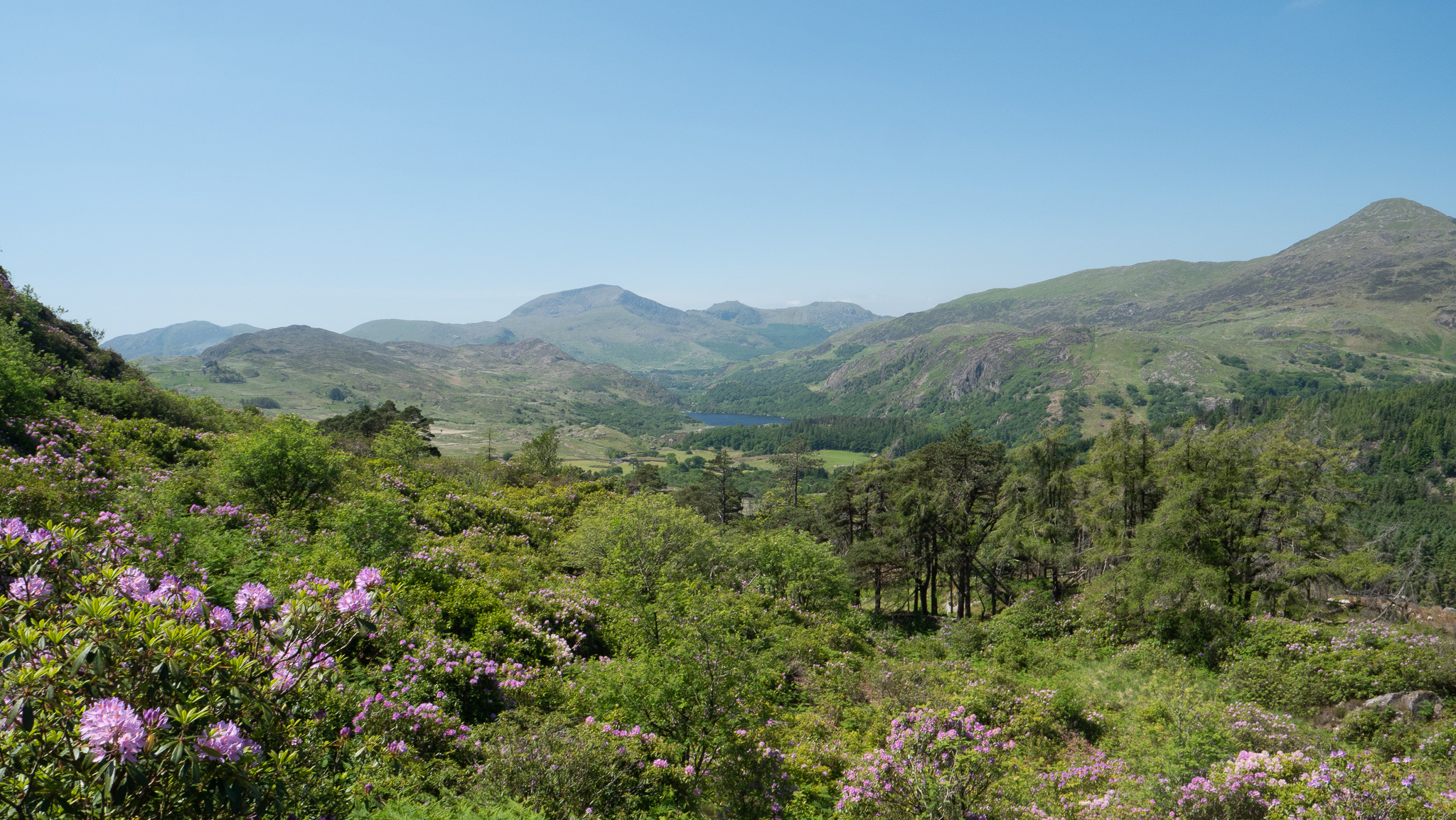 Llyn Dinas from Hafodydd Brithion