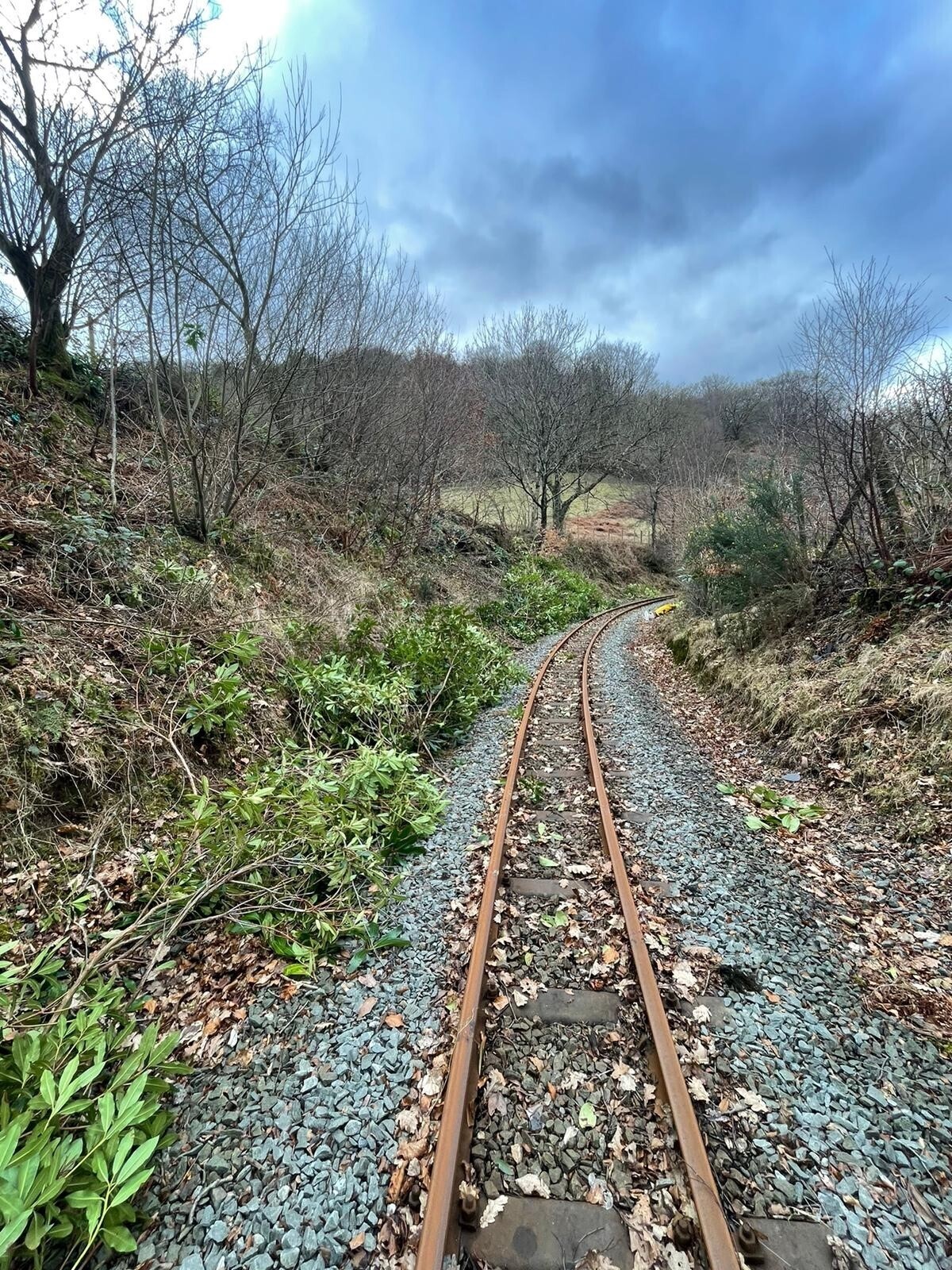 Rheilffordd Rhody Railway