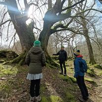 Torrent Walk Dolgellau