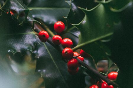 Tobias tullius 5 X Vjb9udf ZM unsplash