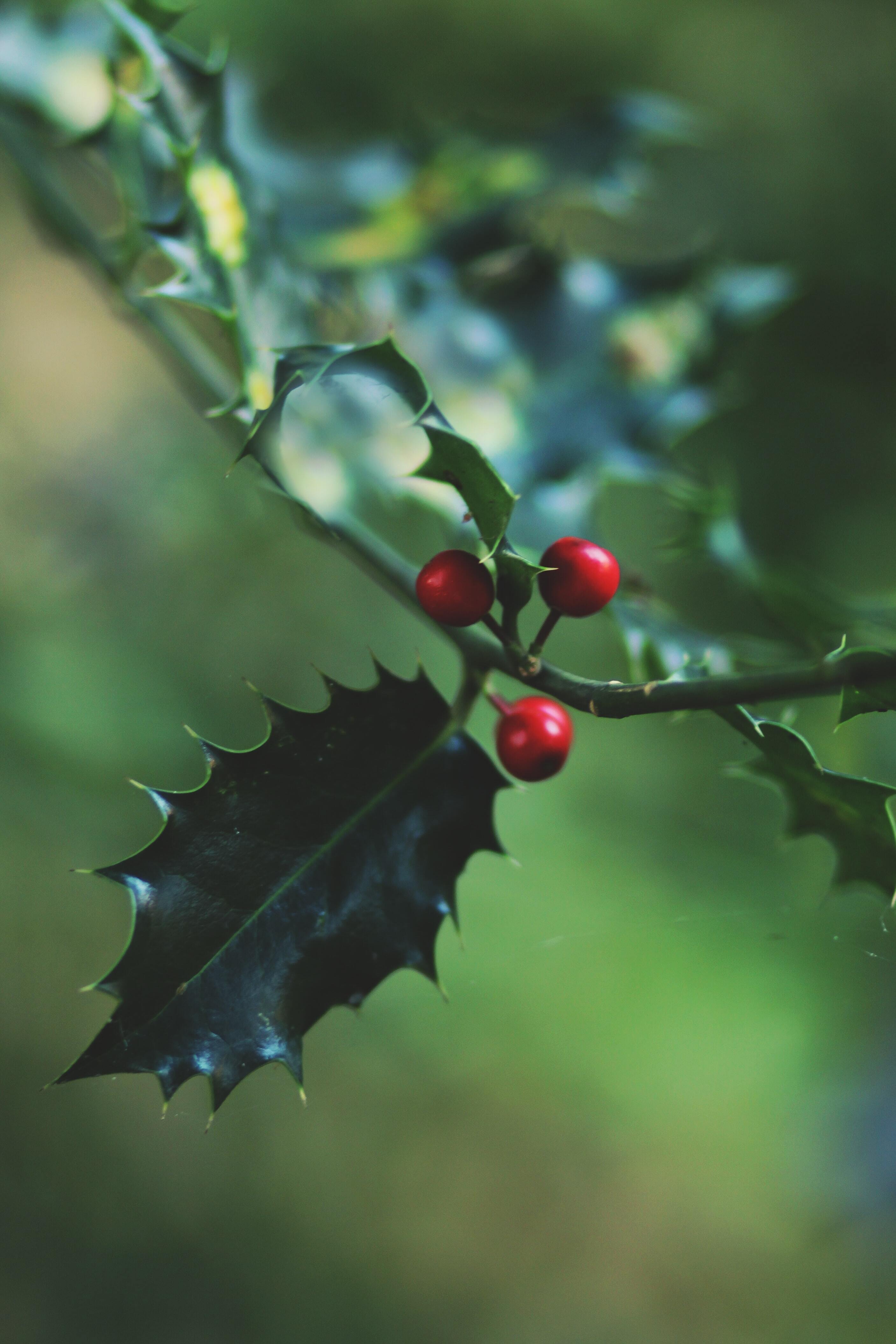 Morgane le breton Wtrhk O Toffg unsplash
